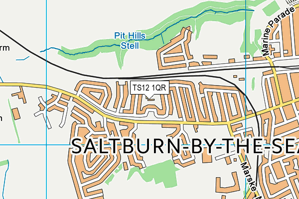 TS12 1QR map - OS VectorMap District (Ordnance Survey) TS12 1QR map - OS VectorMap District (Ordnance Survey)