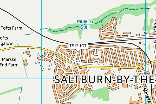 TS12 1QT map - OS VectorMap District (Ordnance Survey) TS12 1QT map - OS VectorMap District (Ordnance Survey)