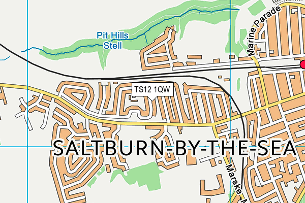 TS12 1QW map - OS VectorMap District (Ordnance Survey) TS12 1QW map - OS VectorMap District (Ordnance Survey)