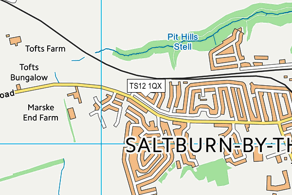 TS12 1QX map - OS VectorMap District (Ordnance Survey) TS12 1QX map - OS VectorMap District (Ordnance Survey)