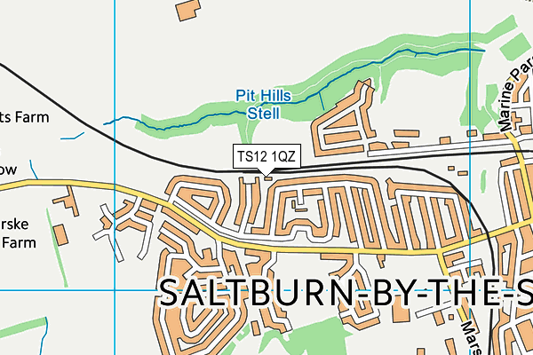 TS12 1QZ map - OS VectorMap District (Ordnance Survey) TS12 1QZ map - OS VectorMap District (Ordnance Survey)