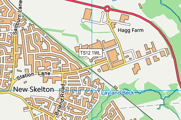TS12 1WL map - OS VectorMap District (Ordnance Survey) TS12 1WL map - OS VectorMap District (Ordnance Survey)
