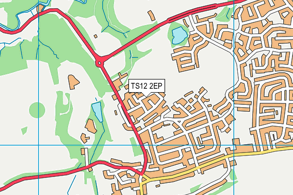TS12 2EP map - OS VectorMap District (Ordnance Survey) TS12 2EP map - OS VectorMap District (Ordnance Survey)