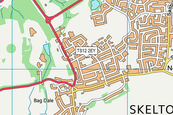 TS12 2EY map - OS VectorMap District (Ordnance Survey) TS12 2EY map - OS VectorMap District (Ordnance Survey)