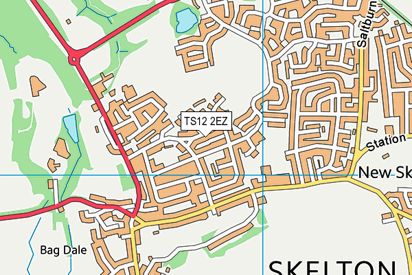TS12 2EZ map - OS VectorMap District (Ordnance Survey) TS12 2EZ map - OS VectorMap District (Ordnance Survey)