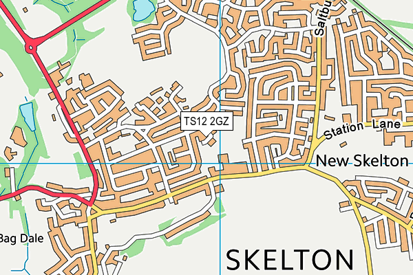 TS12 2GZ map - OS VectorMap District (Ordnance Survey) TS12 2GZ map - OS VectorMap District (Ordnance Survey)