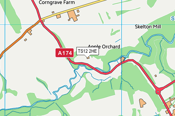 TS12 2HE map - OS VectorMap District (Ordnance Survey) TS12 2HE map - OS VectorMap District (Ordnance Survey)