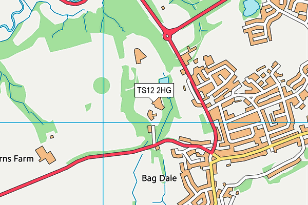 TS12 2HG map - OS VectorMap District (Ordnance Survey) TS12 2HG map - OS VectorMap District (Ordnance Survey)