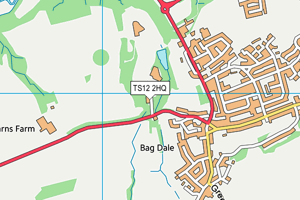 TS12 2HQ map - OS VectorMap District (Ordnance Survey) TS12 2HQ map - OS VectorMap District (Ordnance Survey)