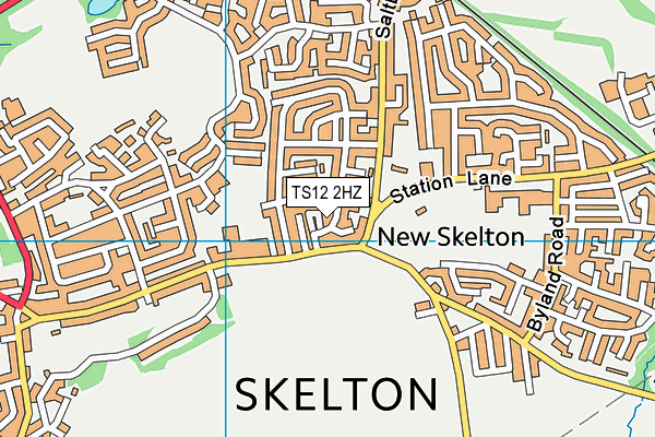 TS12 2HZ map - OS VectorMap District (Ordnance Survey) TS12 2HZ map - OS VectorMap District (Ordnance Survey)