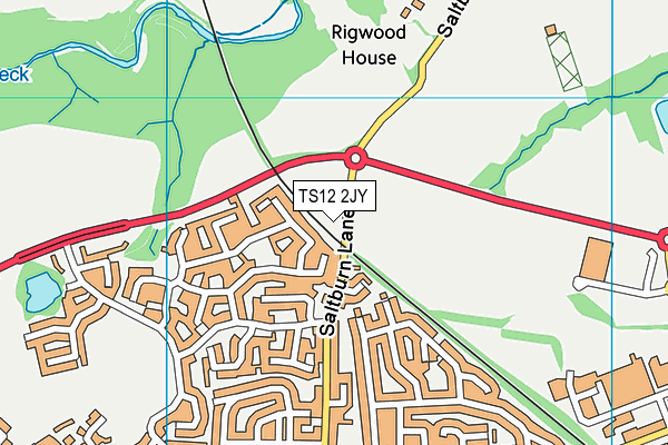 TS12 2JY map - OS VectorMap District (Ordnance Survey) TS12 2JY map - OS VectorMap District (Ordnance Survey)
