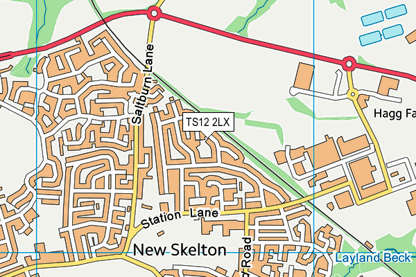 TS12 2LX map - OS VectorMap District (Ordnance Survey) TS12 2LX map - OS VectorMap District (Ordnance Survey)
