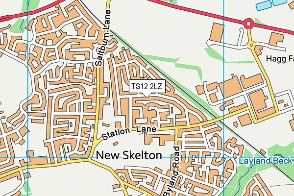 TS12 2LZ map - OS VectorMap District (Ordnance Survey) TS12 2LZ map - OS VectorMap District (Ordnance Survey)