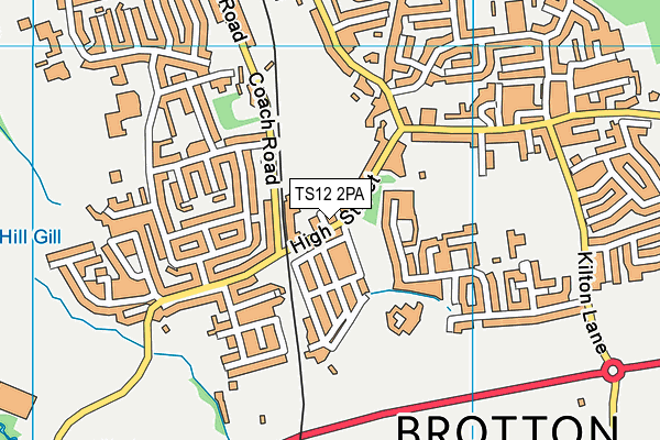 TS12 2PA map - OS VectorMap District (Ordnance Survey) TS12 2PA map - OS VectorMap District (Ordnance Survey)