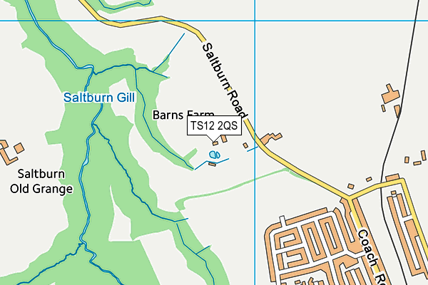 TS12 2QS map - OS VectorMap District (Ordnance Survey) TS12 2QS map - OS VectorMap District (Ordnance Survey)