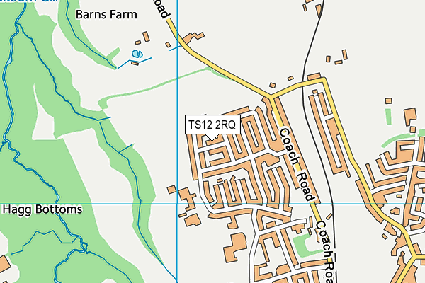 TS12 2RQ map - OS VectorMap District (Ordnance Survey) TS12 2RQ map - OS VectorMap District (Ordnance Survey)