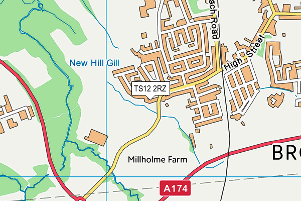 TS12 2RZ map - OS VectorMap District (Ordnance Survey) TS12 2RZ map - OS VectorMap District (Ordnance Survey)