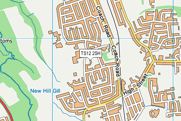 TS12 2SH map - OS VectorMap District (Ordnance Survey) TS12 2SH map - OS VectorMap District (Ordnance Survey)