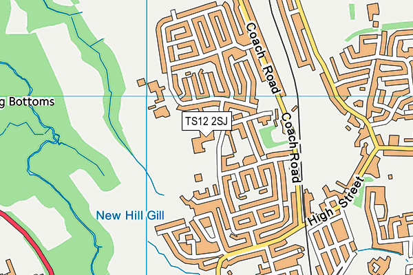 TS12 2SJ map - OS VectorMap District (Ordnance Survey) TS12 2SJ map - OS VectorMap District (Ordnance Survey)