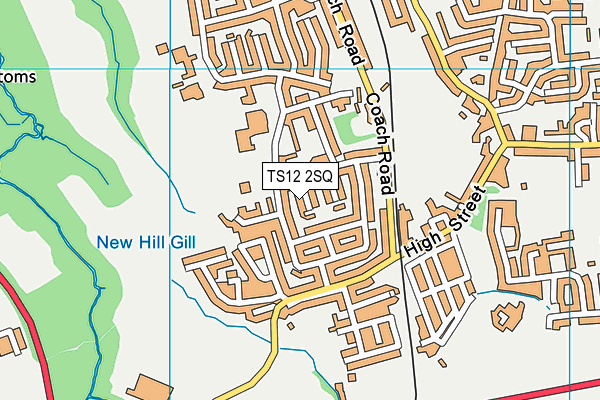 TS12 2SQ map - OS VectorMap District (Ordnance Survey) TS12 2SQ map - OS VectorMap District (Ordnance Survey)
