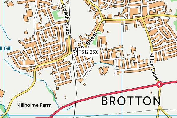 TS12 2SX map - OS VectorMap District (Ordnance Survey) TS12 2SX map - OS VectorMap District (Ordnance Survey)