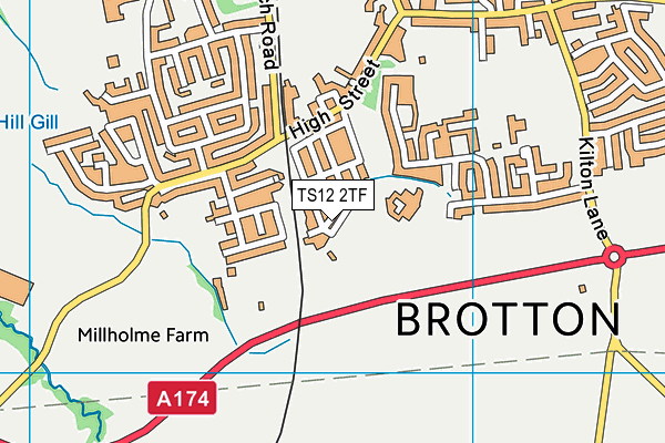 TS12 2TF map - OS VectorMap District (Ordnance Survey) TS12 2TF map - OS VectorMap District (Ordnance Survey)