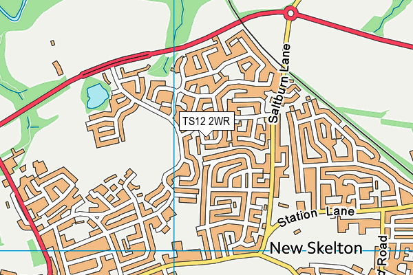 TS12 2WR map - OS VectorMap District (Ordnance Survey) TS12 2WR map - OS VectorMap District (Ordnance Survey)