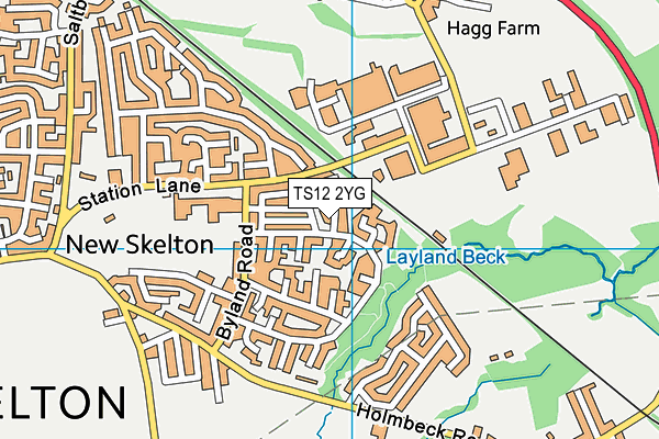 TS12 2YG map - OS VectorMap District (Ordnance Survey) TS12 2YG map - OS VectorMap District (Ordnance Survey)