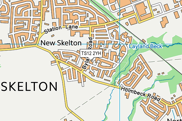 TS12 2YH map - OS VectorMap District (Ordnance Survey) TS12 2YH map - OS VectorMap District (Ordnance Survey)