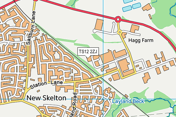 TS12 2ZJ map - OS VectorMap District (Ordnance Survey) TS12 2ZJ map - OS VectorMap District (Ordnance Survey)