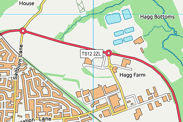 TS12 2ZL map - OS VectorMap District (Ordnance Survey) TS12 2ZL map - OS VectorMap District (Ordnance Survey)