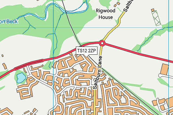 TS12 2ZP map - OS VectorMap District (Ordnance Survey) TS12 2ZP map - OS VectorMap District (Ordnance Survey)
