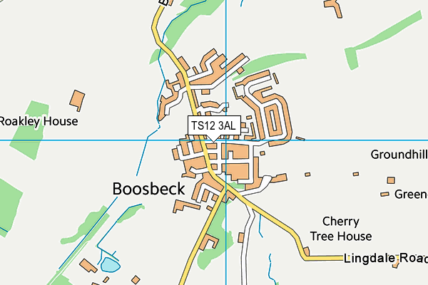 TS12 3AL map - OS VectorMap District (Ordnance Survey) TS12 3AL map - OS VectorMap District (Ordnance Survey)