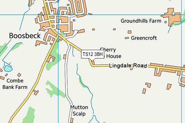 TS12 3BH map - OS VectorMap District (Ordnance Survey) TS12 3BH map - OS VectorMap District (Ordnance Survey)