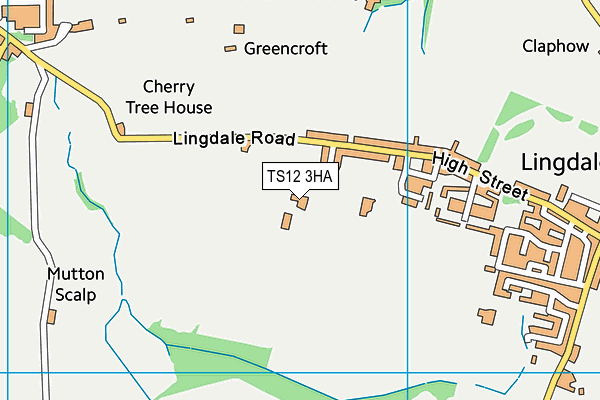 TS12 3HA map - OS VectorMap District (Ordnance Survey)