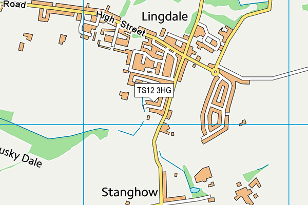TS12 3HG map - OS VectorMap District (Ordnance Survey) TS12 3HG map - OS VectorMap District (Ordnance Survey)