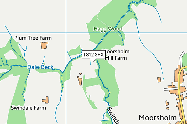 TS12 3HX map - OS VectorMap District (Ordnance Survey) TS12 3HX map - OS VectorMap District (Ordnance Survey)