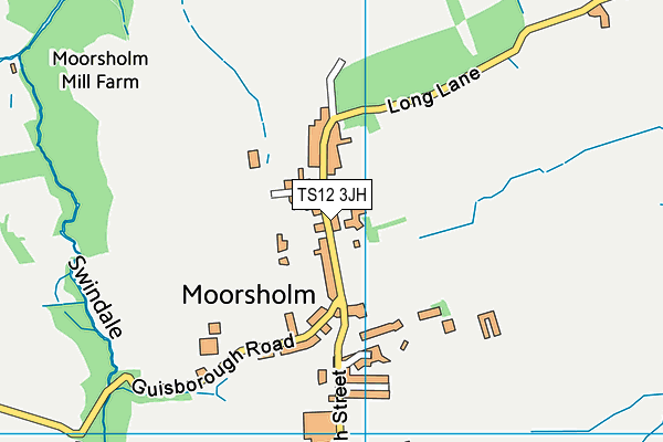 TS12 3JH map - OS VectorMap District (Ordnance Survey) TS12 3JH map - OS VectorMap District (Ordnance Survey)