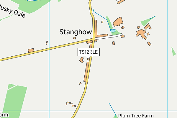 TS12 3LE map - OS VectorMap District (Ordnance Survey) TS12 3LE map - OS VectorMap District (Ordnance Survey)