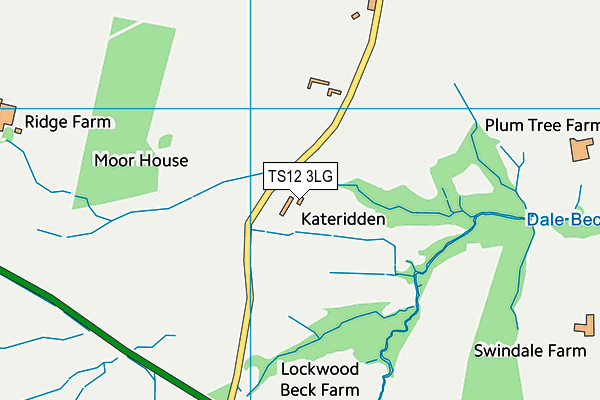 TS12 3LG map - OS VectorMap District (Ordnance Survey) TS12 3LG map - OS VectorMap District (Ordnance Survey)