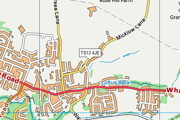 TS13 4JE map - OS VectorMap District (Ordnance Survey)