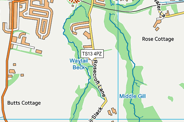 TS13 4PZ map - OS VectorMap District (Ordnance Survey) TS13 4PZ map - OS VectorMap District (Ordnance Survey)