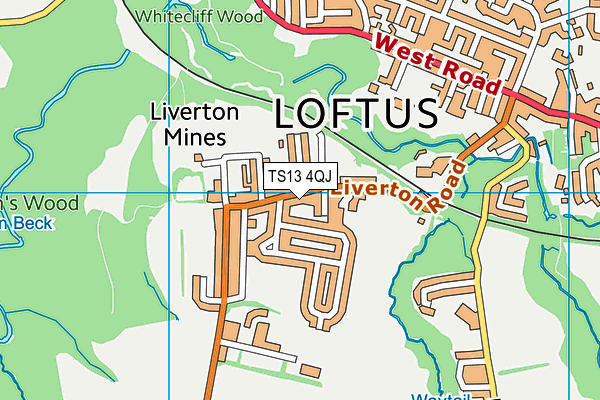TS13 4QJ map - OS VectorMap District (Ordnance Survey) TS13 4QJ map - OS VectorMap District (Ordnance Survey)