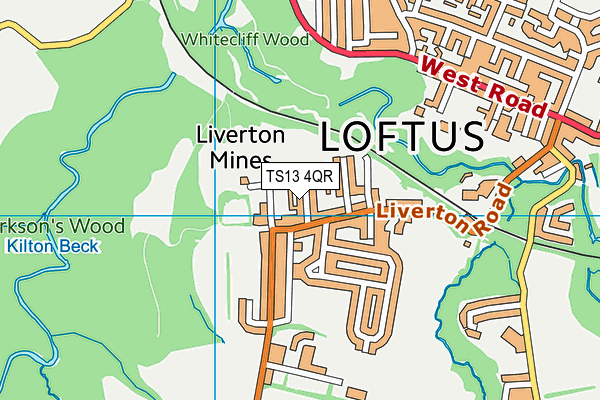 TS13 4QR map - OS VectorMap District (Ordnance Survey) TS13 4QR map - OS VectorMap District (Ordnance Survey)