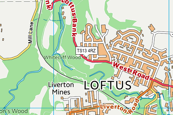 TS13 4RZ map - OS VectorMap District (Ordnance Survey) TS13 4RZ map - OS VectorMap District (Ordnance Survey)