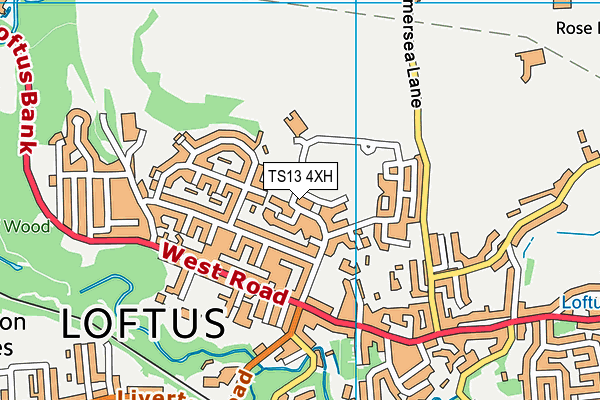 TS13 4XH map - OS VectorMap District (Ordnance Survey) TS13 4XH map - OS VectorMap District (Ordnance Survey)