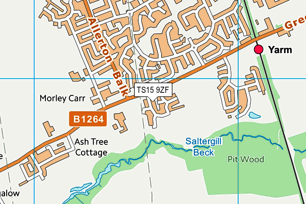 TS15 9ZF map - OS VectorMap District (Ordnance Survey) TS15 9ZF map - OS VectorMap District (Ordnance Survey)