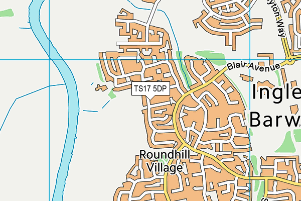 TS17 5DP map - OS VectorMap District (Ordnance Survey)