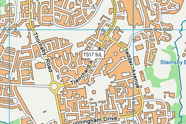 TS17 9JL map - OS VectorMap District (Ordnance Survey) TS17 9JL map - OS VectorMap District (Ordnance Survey)