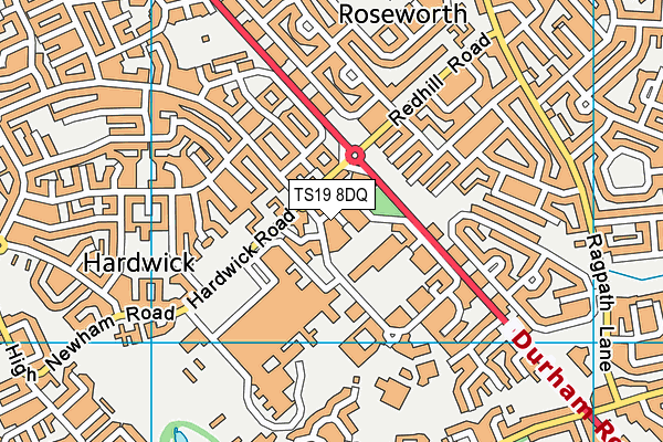 TS19 8DQ map - OS VectorMap District (Ordnance Survey) TS19 8DQ map - OS VectorMap District (Ordnance Survey)